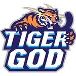 Tiger God Dota 2